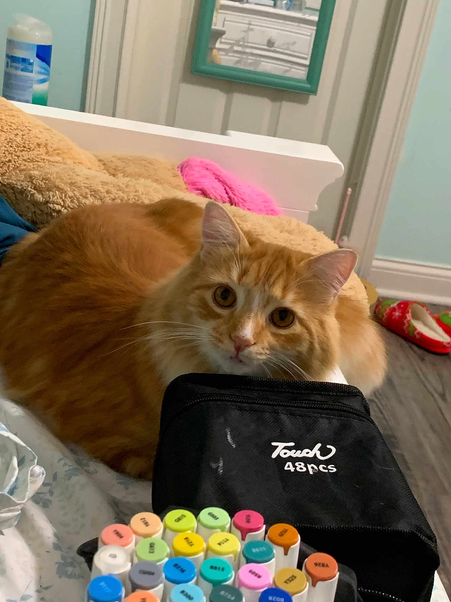 Jack Haydon is registered to the contest to win money with this photo: cat, orange_tabby, marker, marker_caps, black_case, blanket, bed, mirror, door, floor, slipper, colorful, indoor, pet, feline, curious, cozy, home, soft, resting
