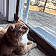 Oliver