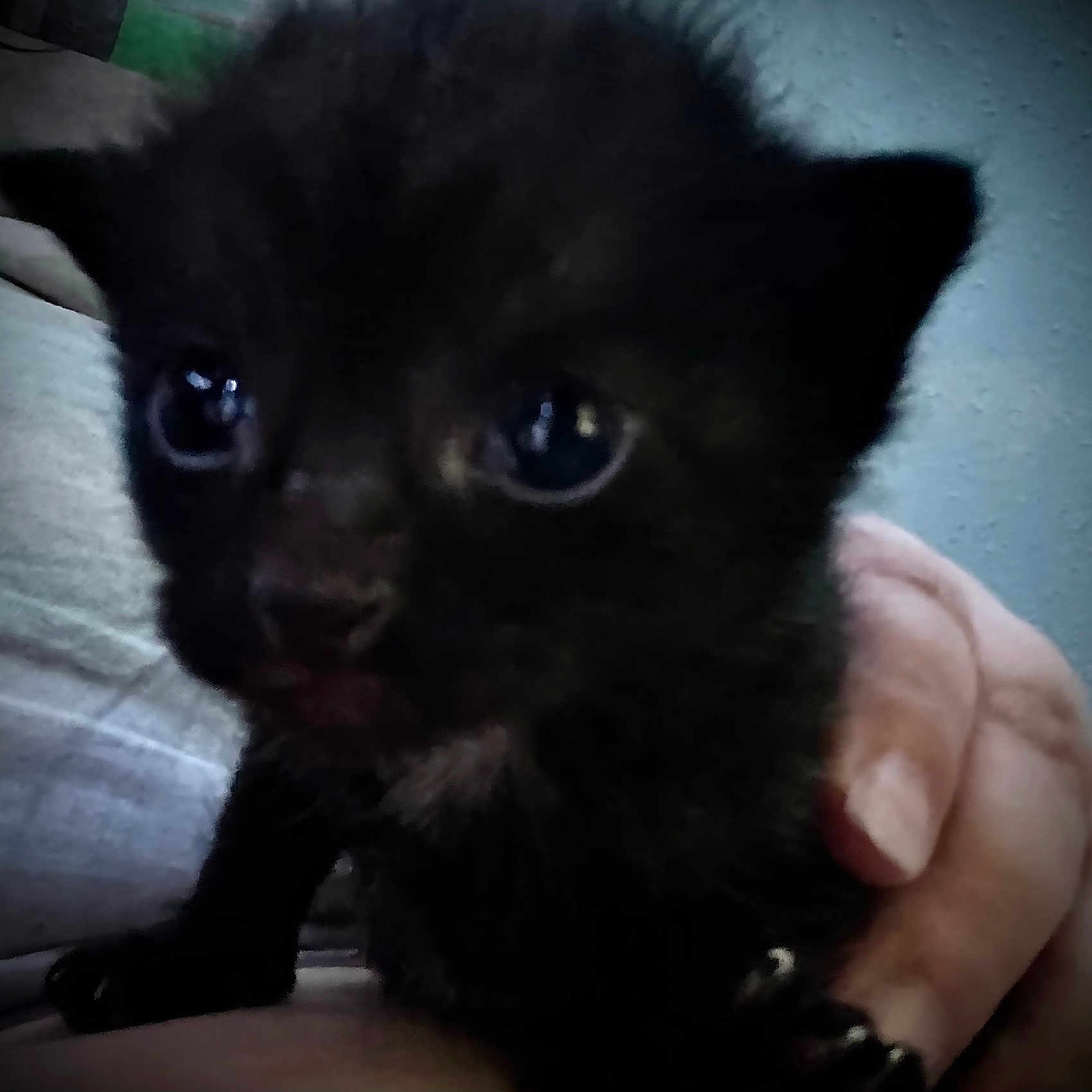 Luna