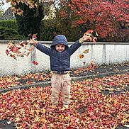 Mika a rejoint le concours — aidez-le/la à gagner de superbes lots ! child, autumn, leaves, jacket, hood, pants, smile, outdoor, fall, nature, street, wall, tree, play, happy, seasonal, colorful, person, fun, casual