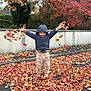 child, autumn, leaves, jacket, hood, pants, smile, outdoor, fall, nature, street, wall, tree, play, happy, seasonal, colorful, person, fun, casual
