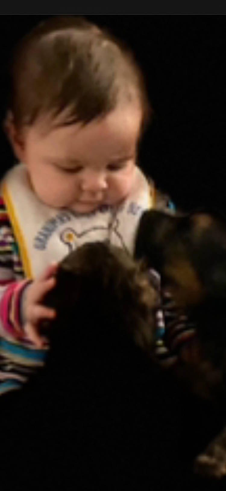 Dannie joined the competition — help win amazing prizes! baby, child, cloud, comfort, companion_dog, darkness, ear, fun, fur, happy, iris, lap, love, mouth, night, nose, person, room, sitting, skin