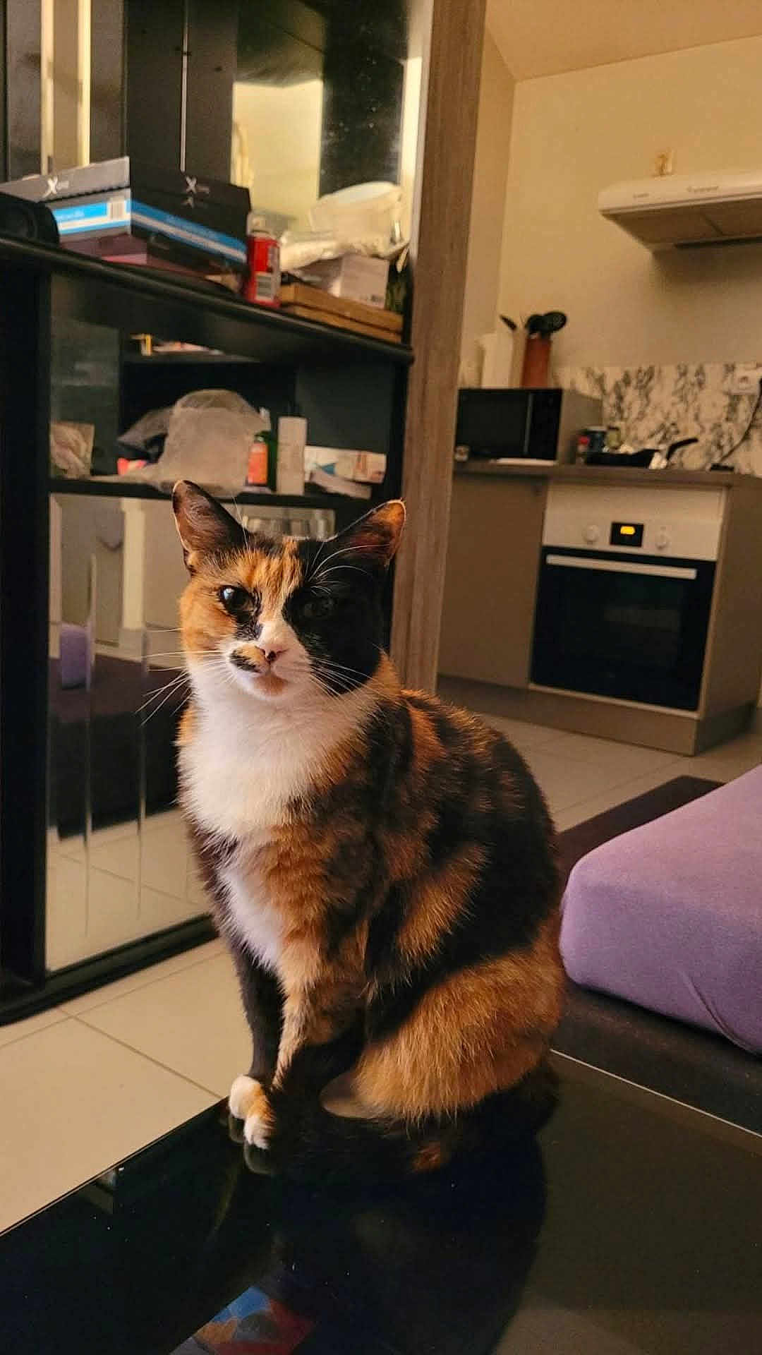 Biscotte