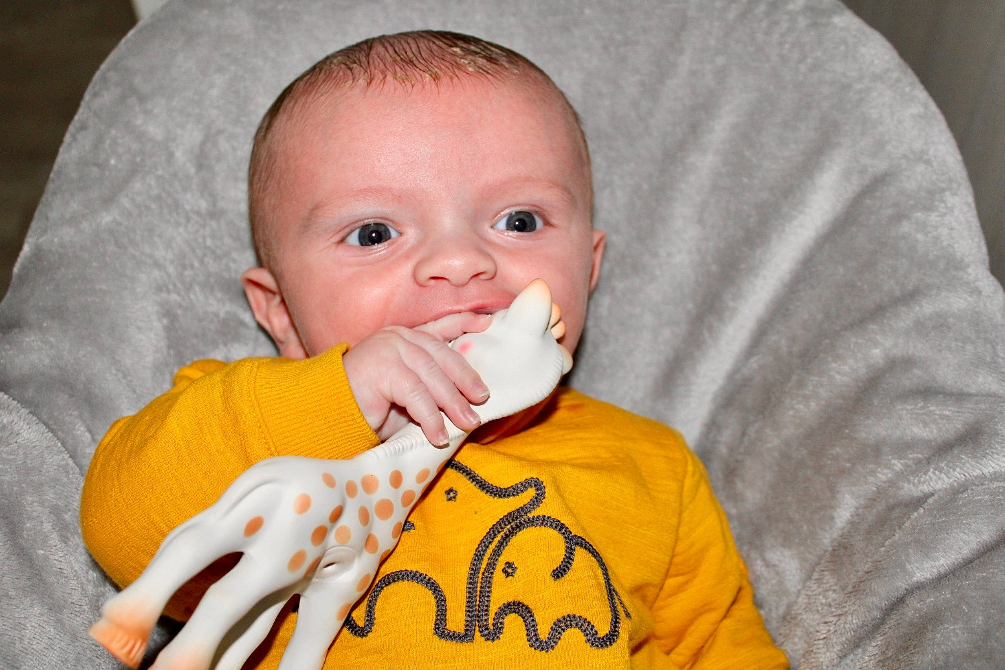 Gianni participe au concours pour gagner de l'argent avec cette photo : arm, baby, baby_toddler_clothing, cheek, chin, dress, eye, eyebrow, gesture, hand, happy, iris, lip, mouth, neck, nose, orange, person, skin, sleeve