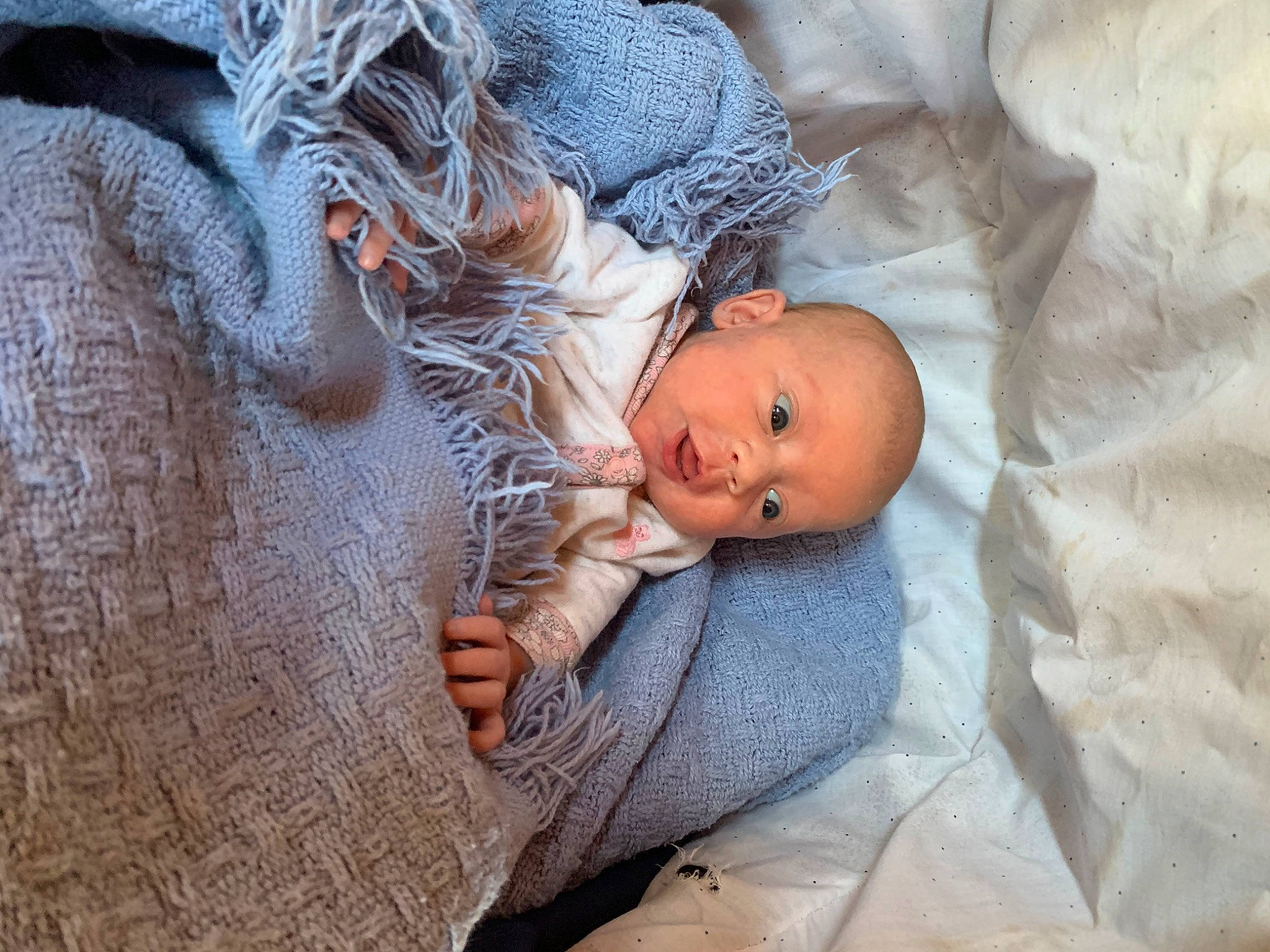 Jocelynn is registered to the contest to win money with this photo: baby, baby_sleeping, blanket, child, comfort, nap, nose, person, skin, sleep, toddler