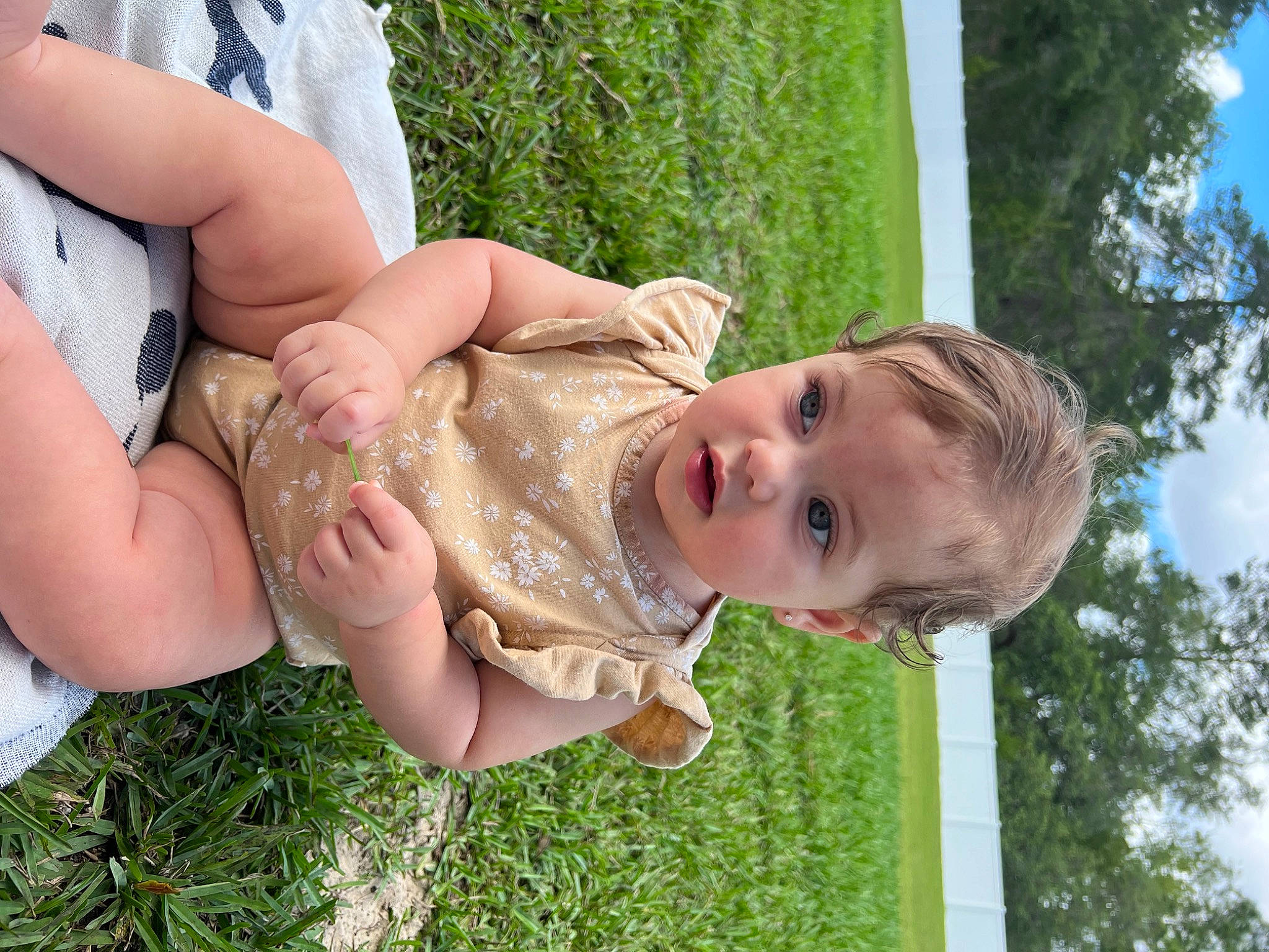 Julianna is registered to the contest to win money with this photo: eye, fun, gesture, grass, grass_family, green, happy, human_body, joint, leisure, people_in_nature, person, plant, skin, sky, smile, summer, thigh, toddler, tree