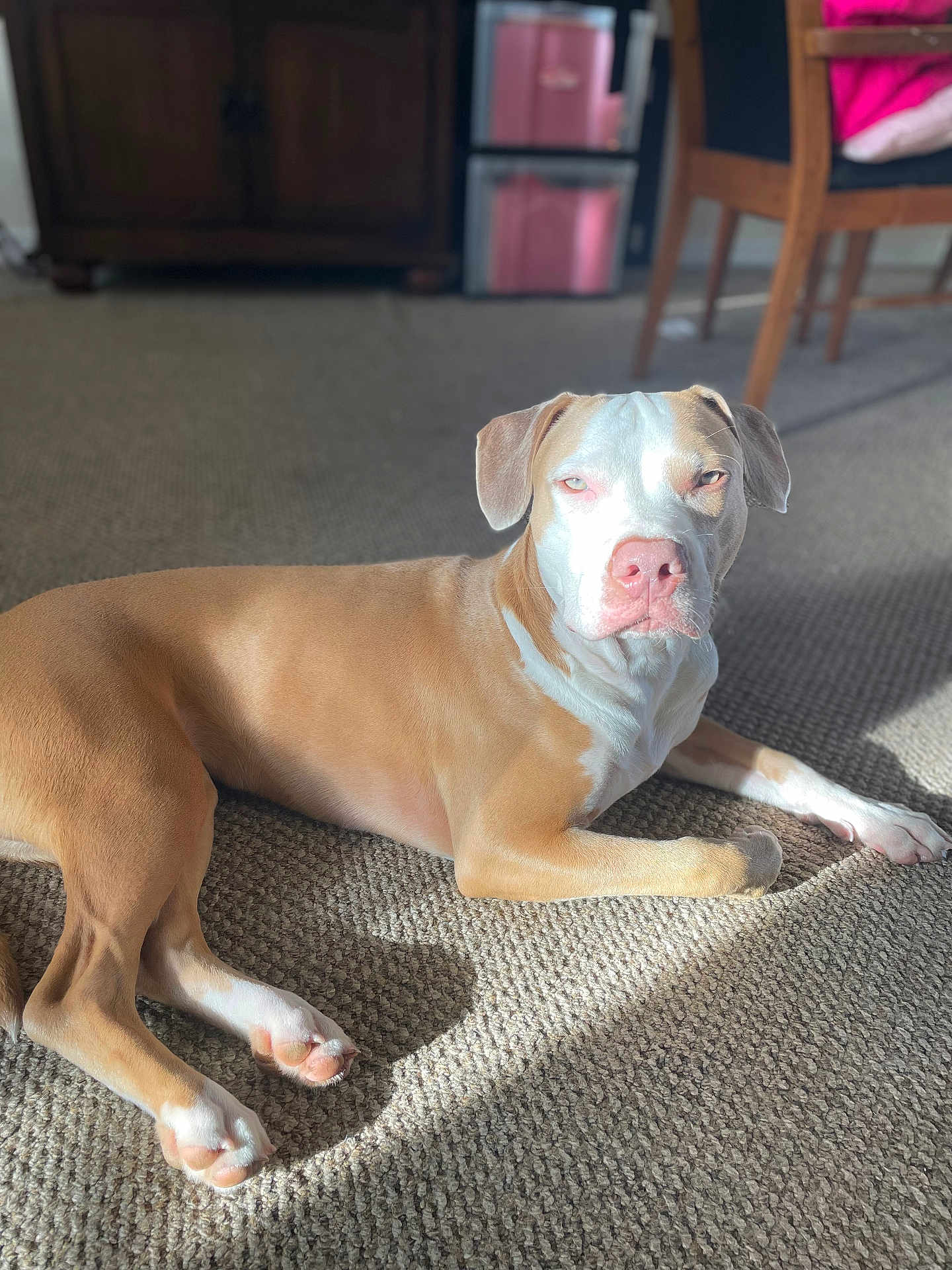 Nala
