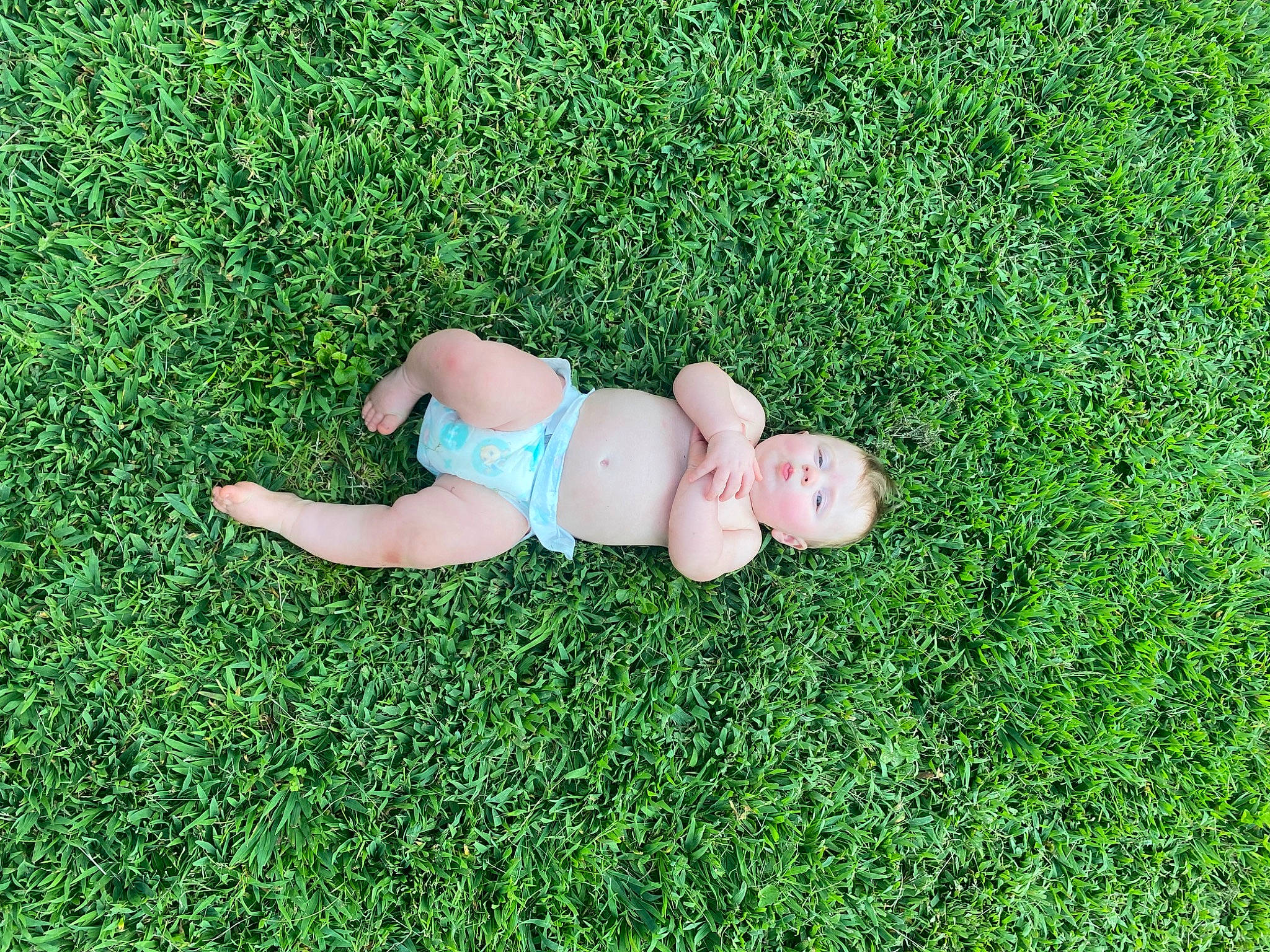 Dean joined the competition — help win amazing prizes! artificial_turf, flooring, foot, fun, grass, grass_family, grassland, groundcover, happy, human_body, human_leg, knee, lawn, leg, leisure, meadow, people_in_nature, person, plant, shrub