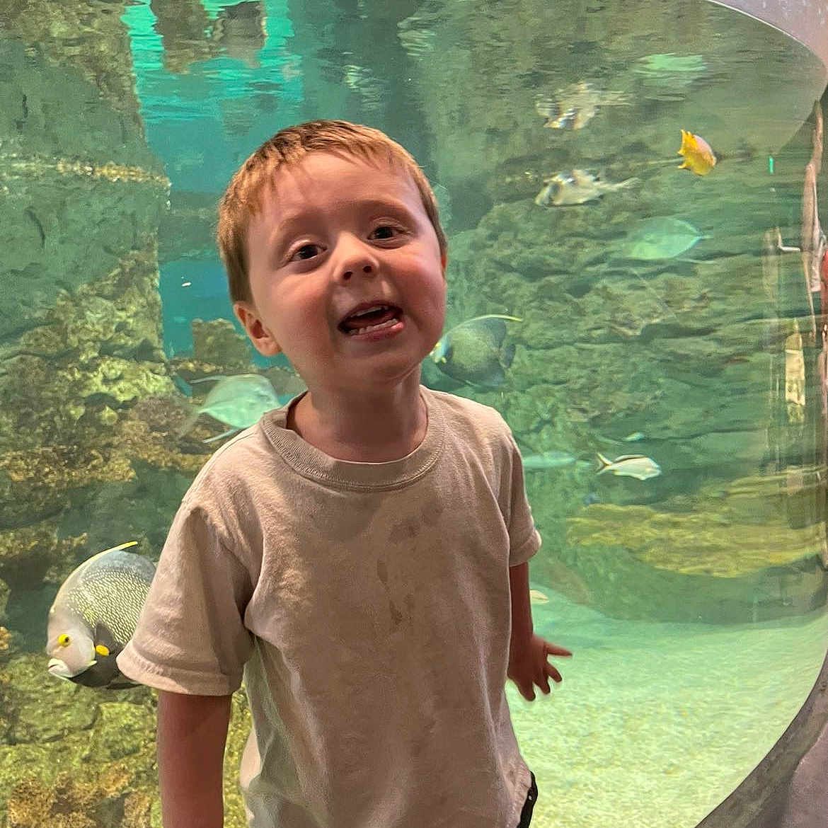 Dean is registered to the contest to win money with this photo: animal, aquarium, aquatic, boy, child, clothing, face, fish, head, male, nature, outdoors, person, photography, portrait, rock, sea, sealife, t_shirt, water