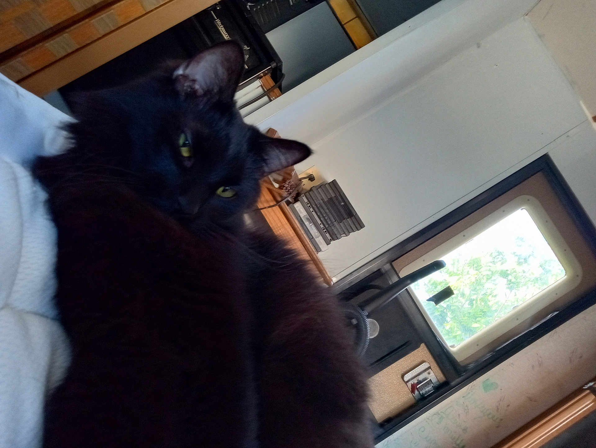 Shadow