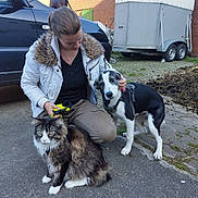 Baghira joined the competition — help win amazing prizes! woman, dog, cat, leash, pavement, vehicle, trailer, brick_building, outdoor, pet, fur, crouching, black_and_white_dog, fluffy_cat, casual_clothing, sidewalk, animal, human, daylight, affection