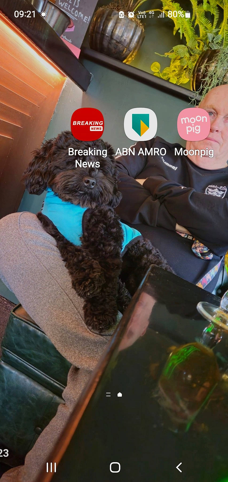 Dude is registered to the contest to win money with this photo: advertising, brand, design, event, font, fun, fur, graphics, logo, room, t_shirt