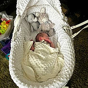 George is registered to the contest to win money with this photo: newborn, baby, bassinet, blanket, stuffed_animals, plush_toy, sleeping, white, soft_texture, flowers, bouquet, carpet, hands, phone, indoor, cozy, infant, resting, cushion, peaceful