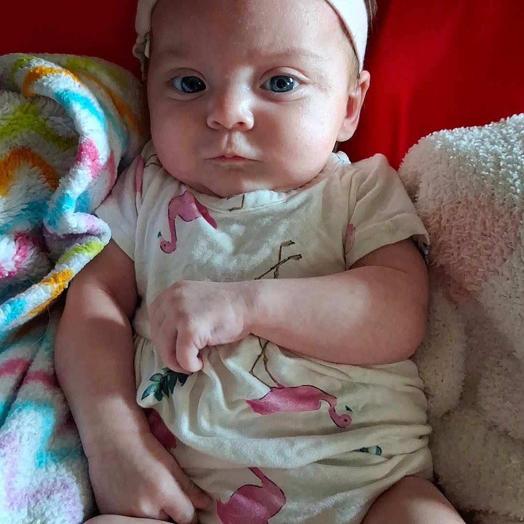 Maleia