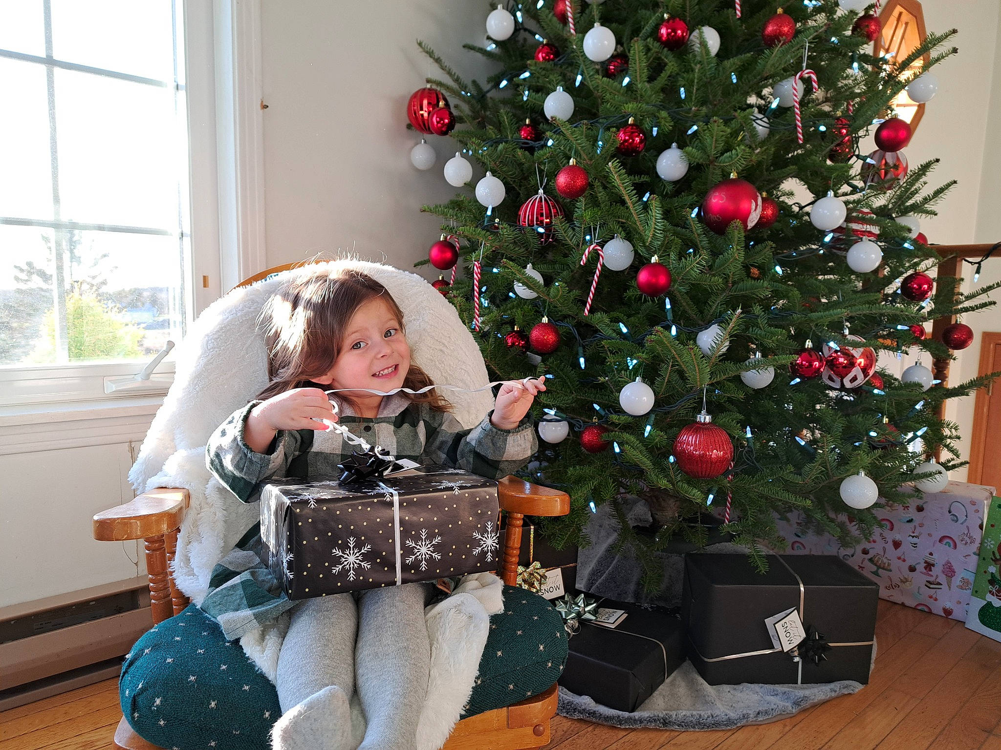 Blake is registered to the contest to win money with this photo: bag, christmas, christmas_decoration, christmas_eve, christmas_ornament, christmas_tree, conifer, event, evergreen, holiday, holiday_ornament, joy, lap, living_room, luggage_and_bags, ornament, person, room, sitting, tree