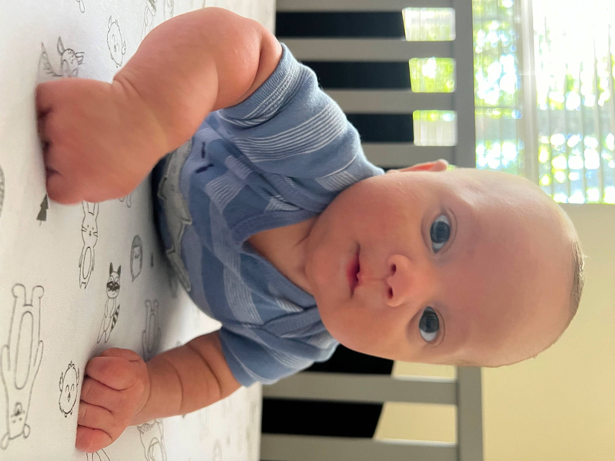 Leonardo is registered to the contest to win money with this photo: arm, baby, baby_safety, baby_toddler_clothing, child, elbow, eye, facial_expression, finger, gesture, hand, handwriting, happy, joint, nose, people, person, sleeve, standing, thumb