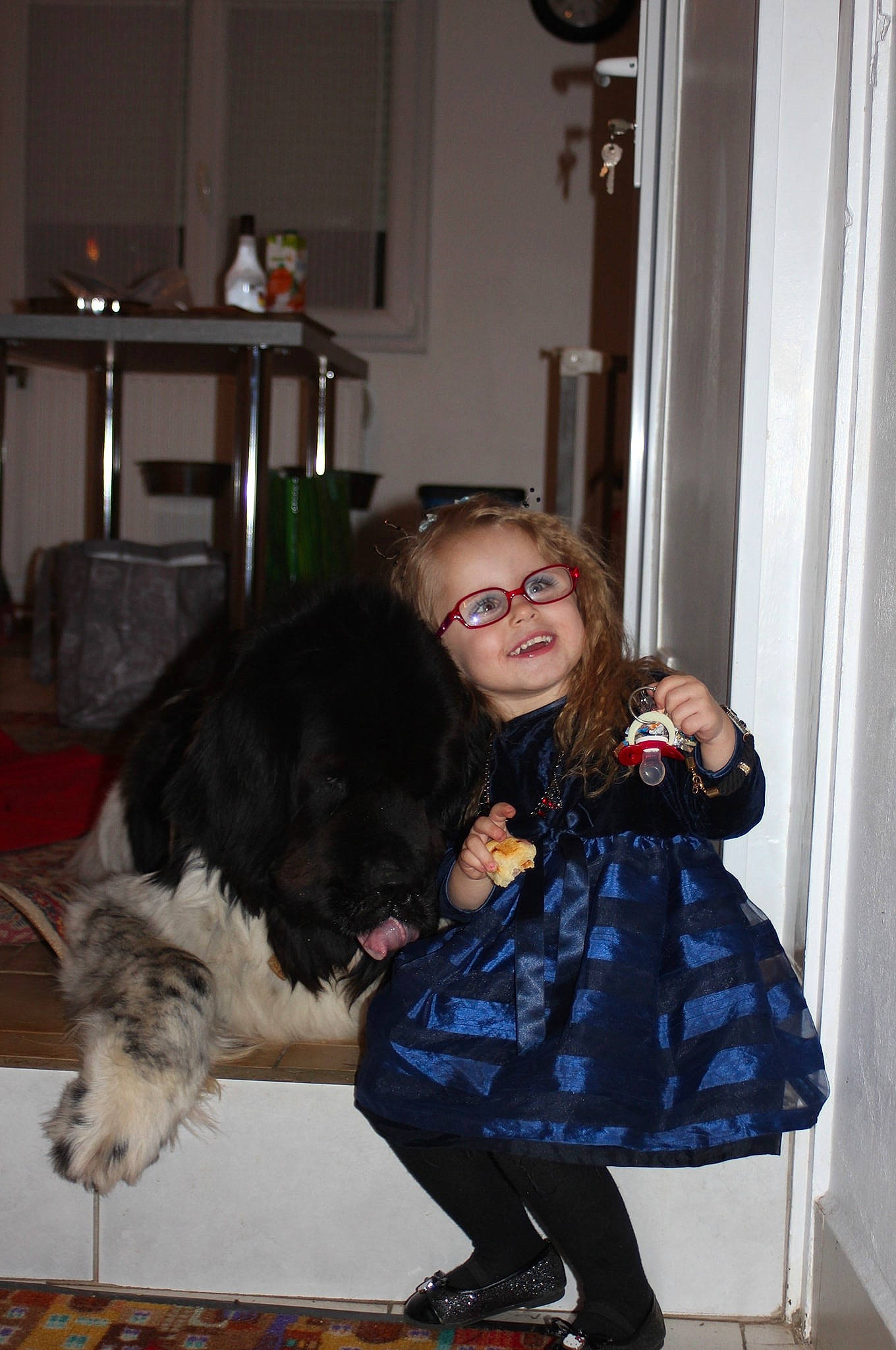 Paytonne participe au concours pour gagner de l'argent avec cette photo : canidae, carnivore, dog, dog_breed, fawn, fur, non_sporting_group, person, sporting_group, tibetan_terrier