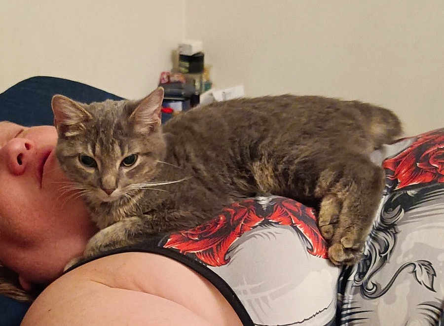 Max joined the competition — help win amazing prizes! cat, person, indoor, gray_cat, resting, lying_down, close_up, animal, human, tattoo, shirt, skin, fur, pet, comfort, relaxation, face, ear, whiskers, home
