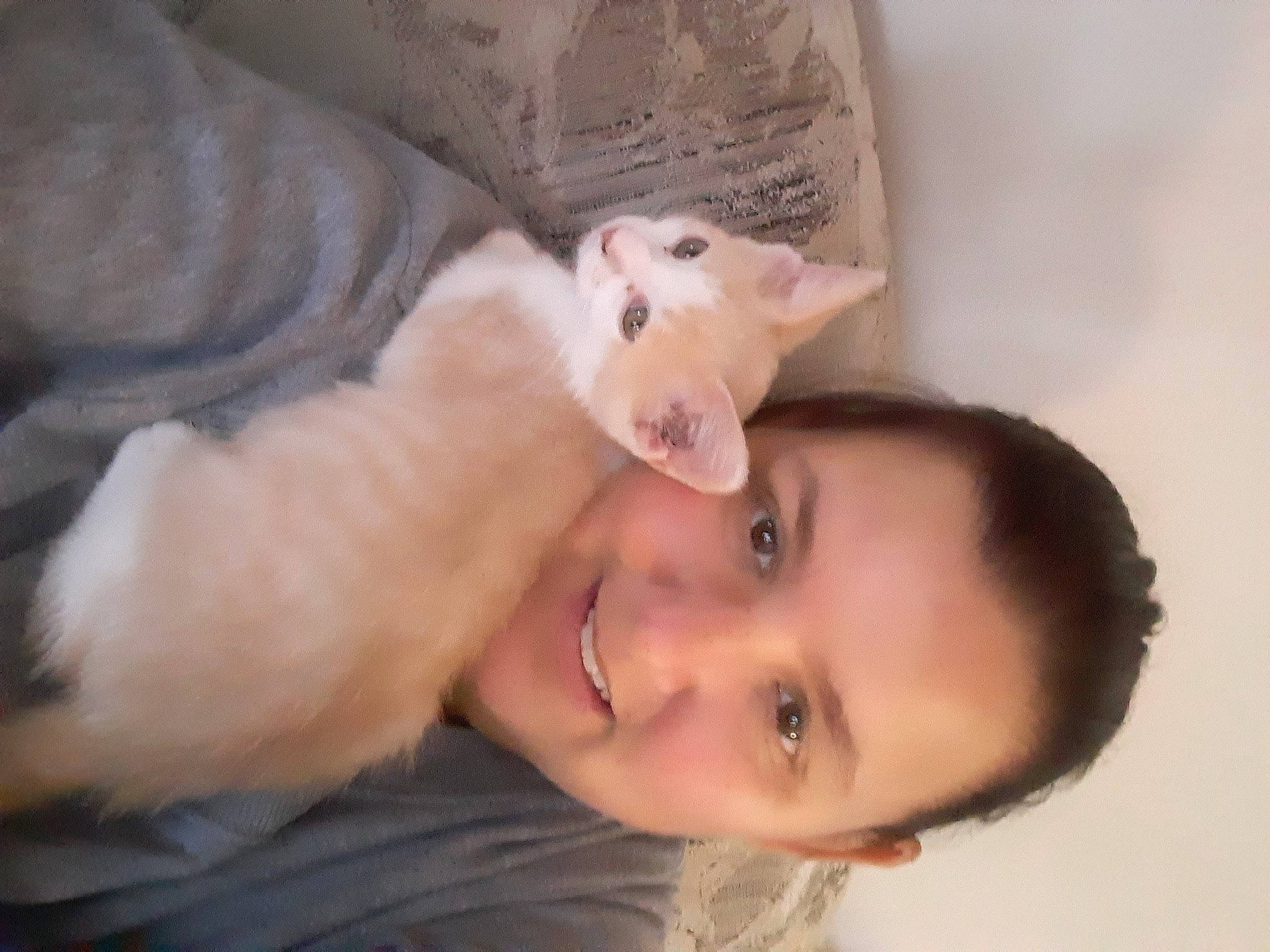 Loki joined the competition — help win amazing prizes! abdomen, chest, comfort, companion_dog, dress, ear, eyelash, felidae, fur, gesture, happy, jaw, nail, nose, skin, small_to_medium_sized_cats, smile, tail, trunk, whiskers