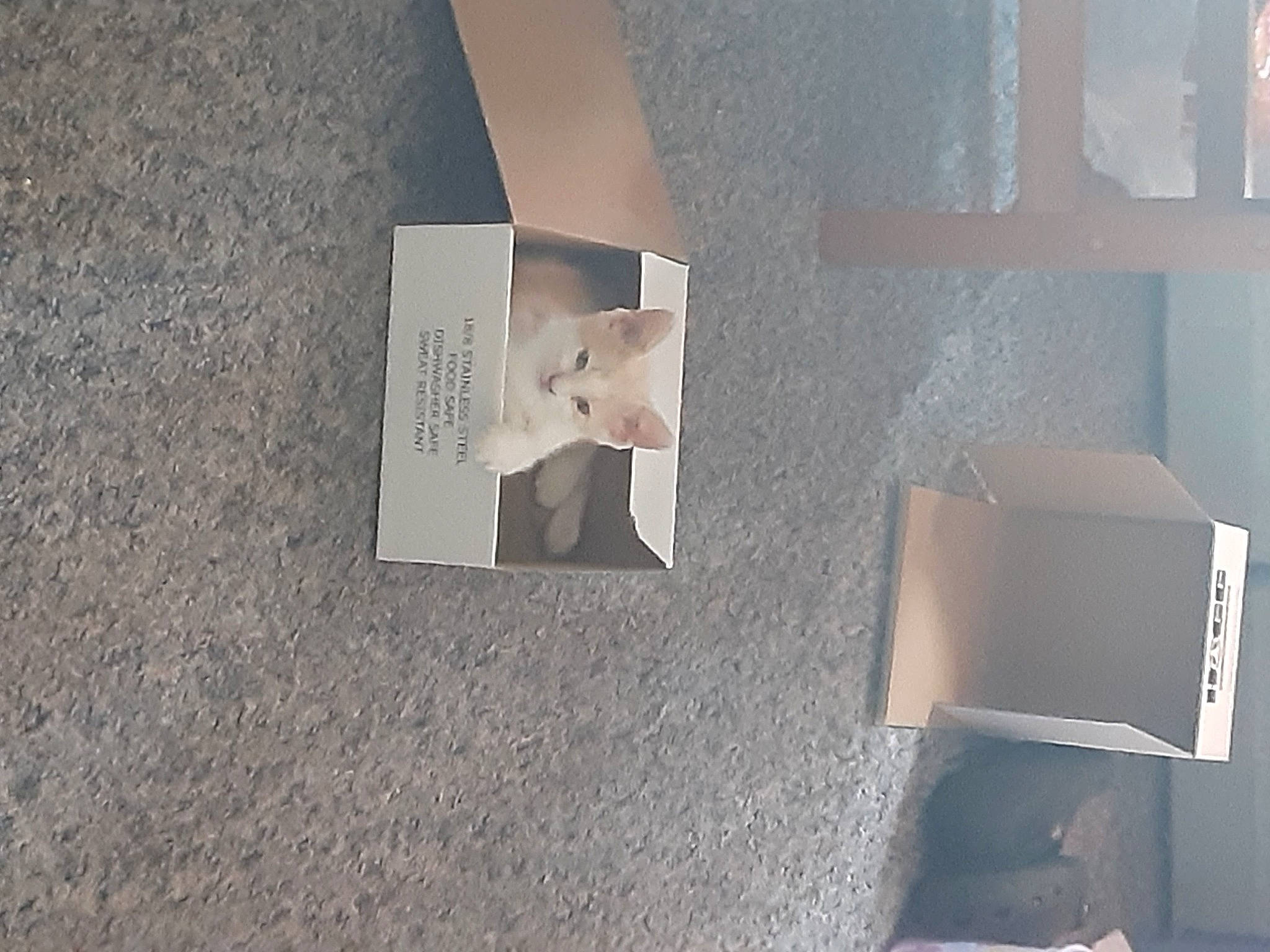 Loki is registered to the contest to win money with this photo: art, ceiling, concrete, flooring, font, grey, illustration, lighting_accessory, material_property, paper, paper_product, pattern, rectangle, room, shadow, space, tints_and_shades, visual_arts, wall, wood