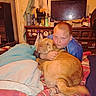 child, dog, bed, blanket, blue_shirt, wrinkly_dog, clutter, dresser, television, room, hugging, indoor, person, pet, sleeping_dog, furniture, casual, pink_blanket, striped_blanket, resting