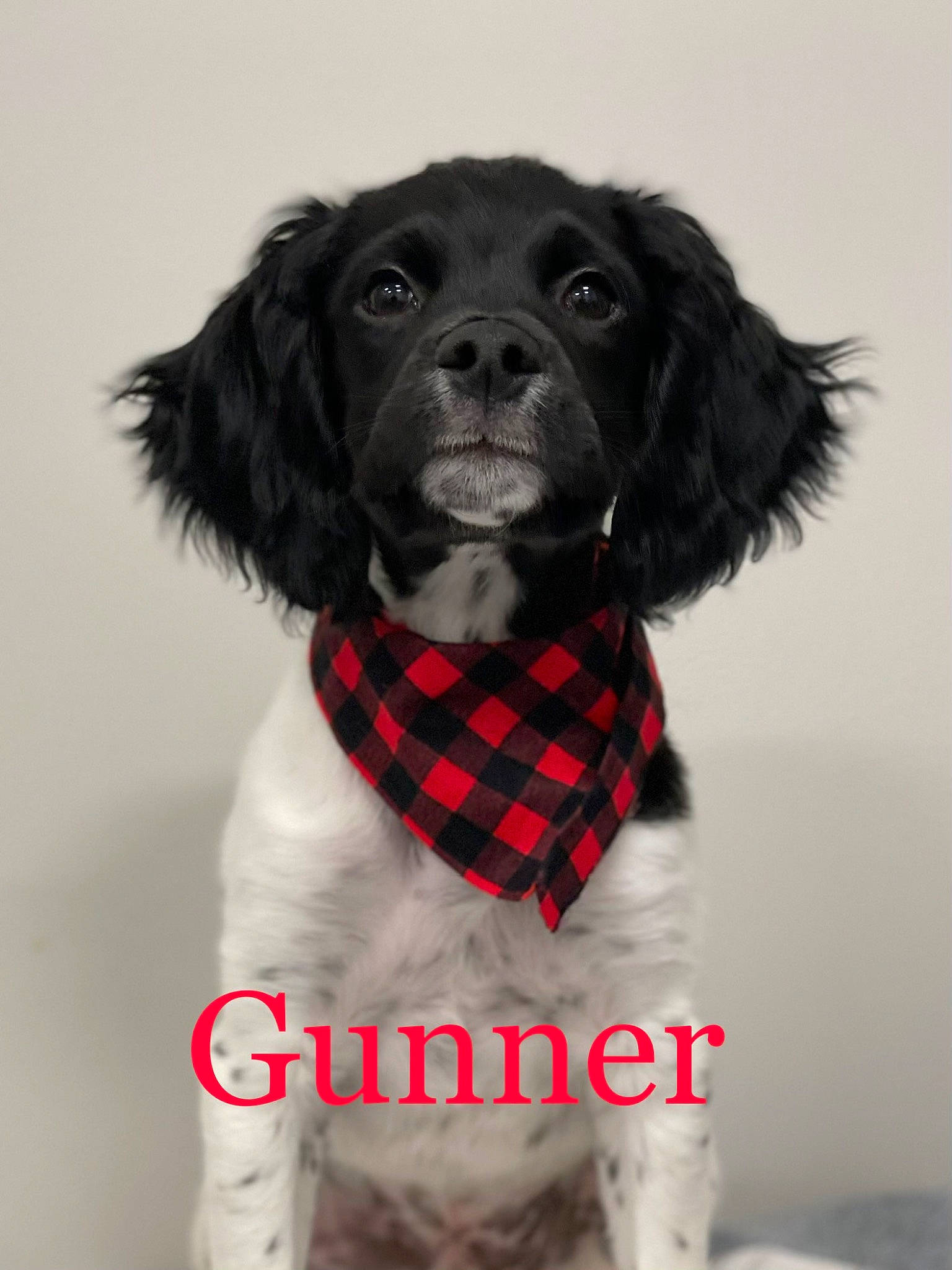Gunner