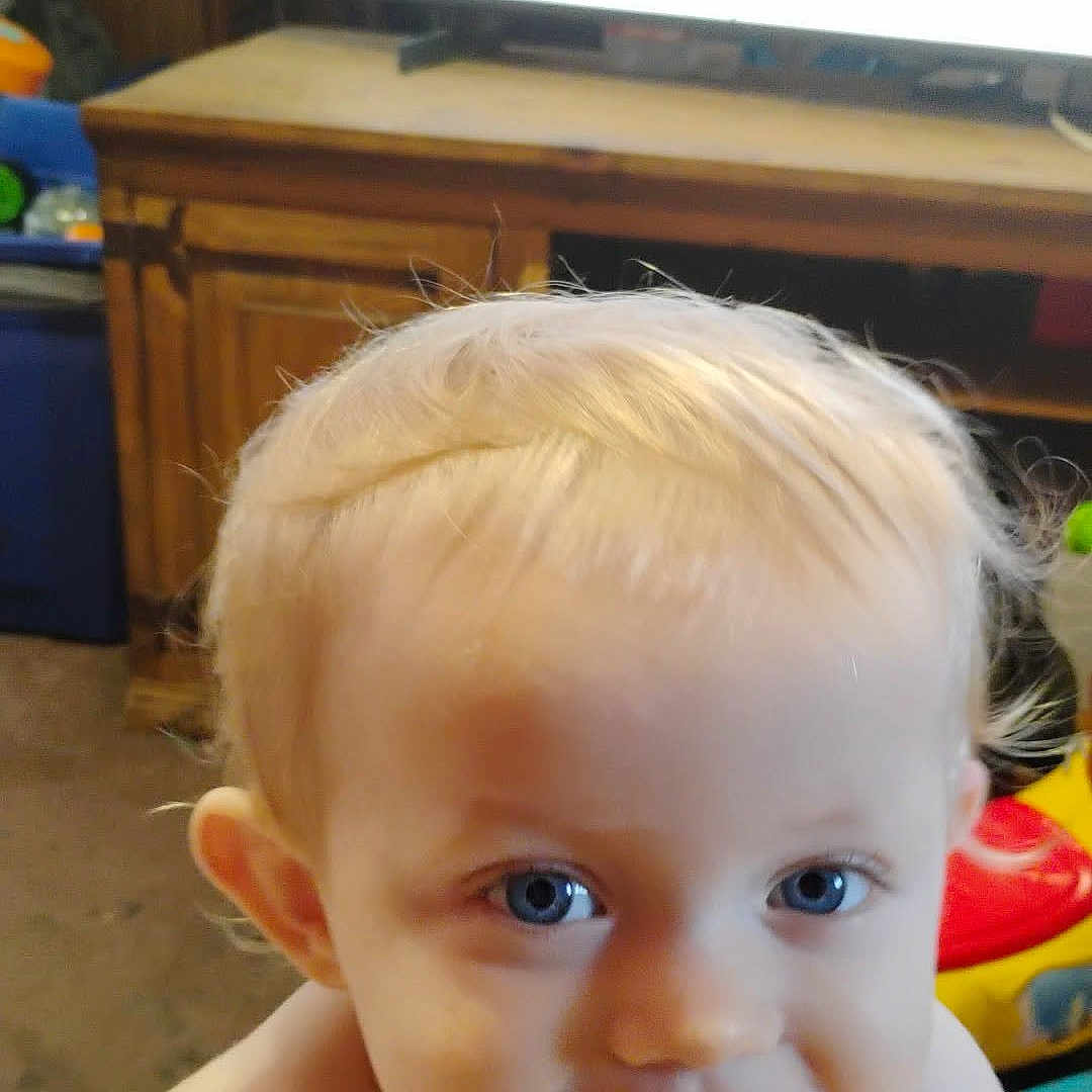 Gracie