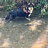 Aïka participe au concours pour gagner de l'argent avec cette photo : dog, water, creek, ivy, nature, outdoor, animal, pet, harness, happy, wet, rocks, sunlight, reflection, forest, canine, mammal, black_fur, tongue_out, playful