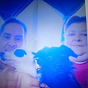 Tula is registered to the contest to win money with this photo: black_dog, blurry, cozy, curtain, dog, face, group_photo, holding, home, indoor, light_glare, overexposed, pet, portrait, screen_photo, selfie, smile, two_people, white_dog, window