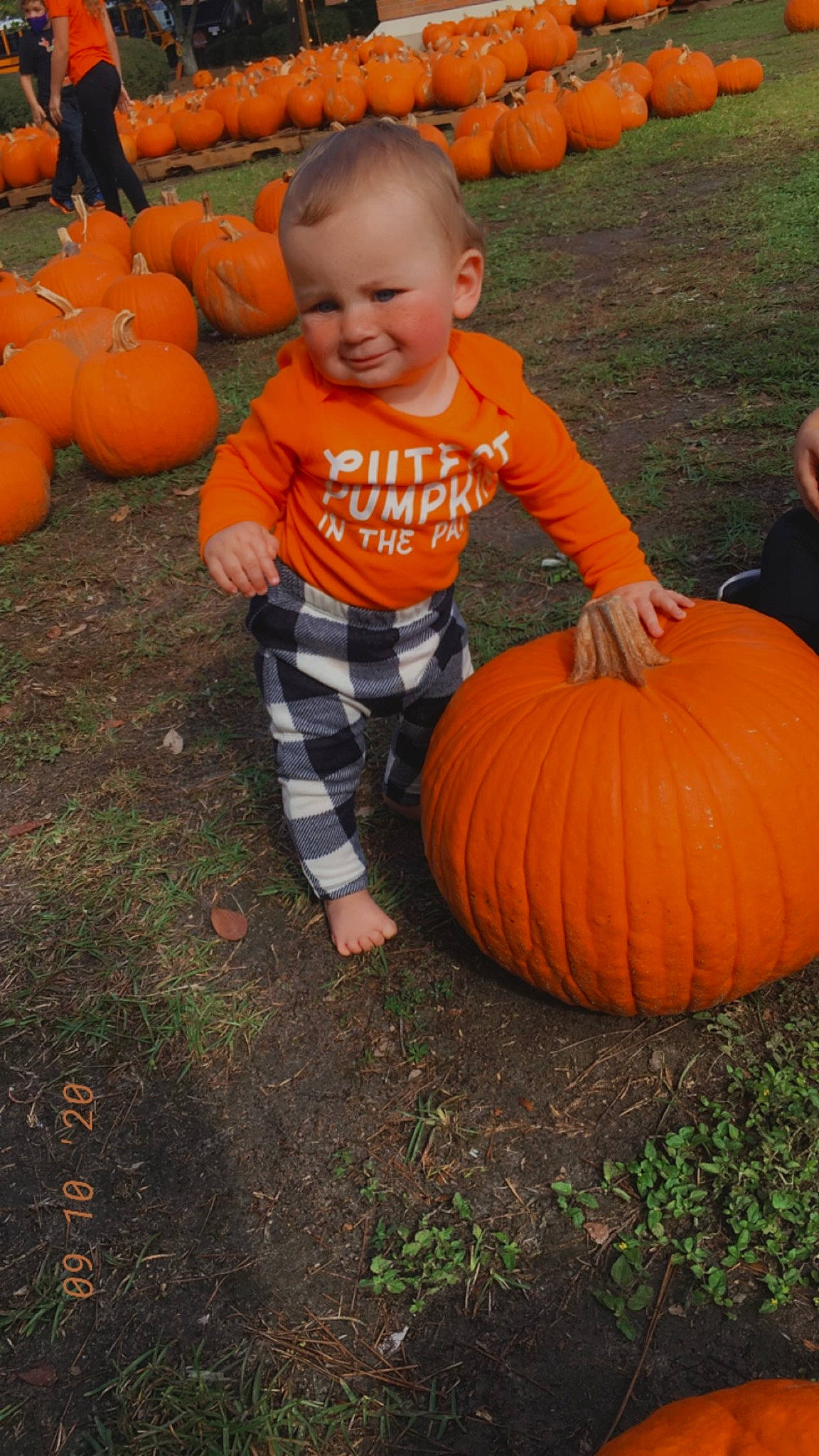 Cayden is registered to the contest to win money with this photo: _and_melon_family, _gourd, autumn, calabaza, child, cucumber, cucurbita, food, fruit, gourd, grass, orange, person, plant, play, produce, pumpkin, smile, squash, toddler