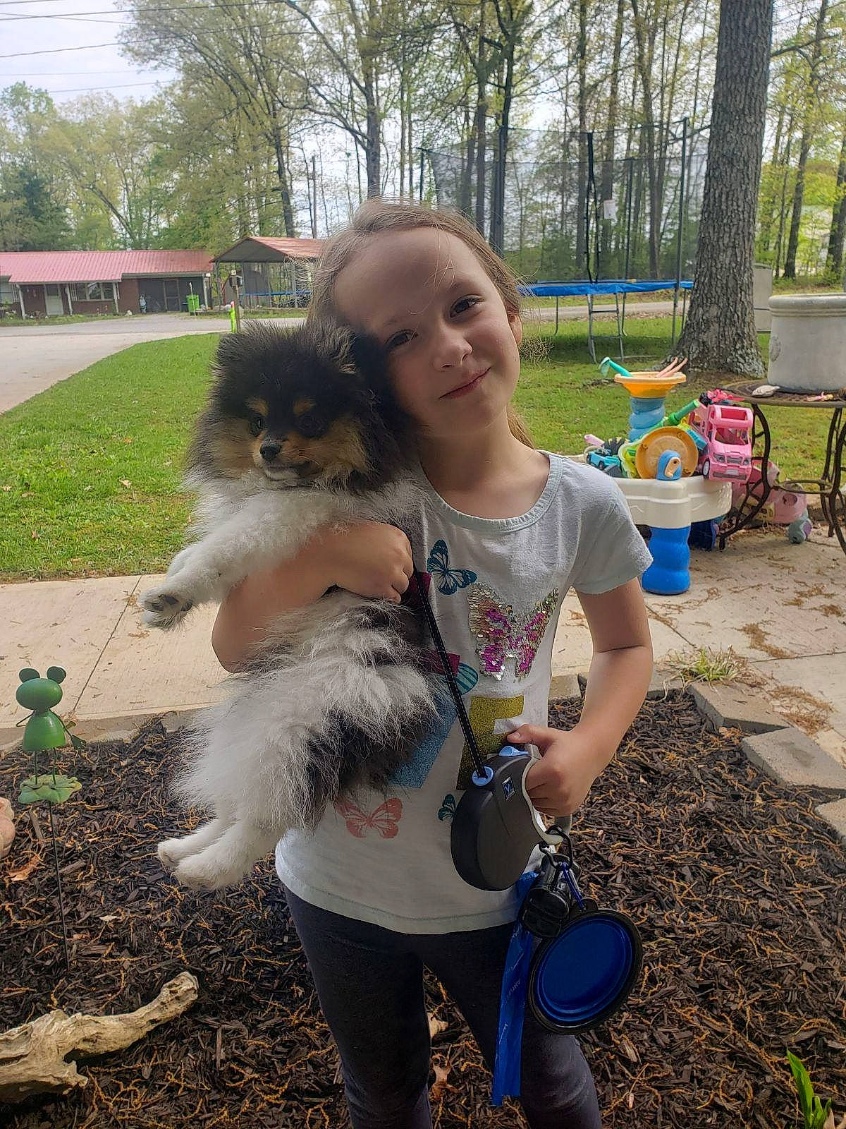 Teddy joined the competition — help win amazing prizes! canidae, child, companion_dog, dog_breed, fawn, fun, fur, garden, grass, happy, plant, recreation, sitting, sky, smile, soil, sporting_group, toddler, toy_dog, tree