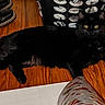 black_cat, cat, pet, animal, wooden_floor, boots, basket, indoor, feline, curious, yellow_eyes, fur, domestic_animal, relaxed, flooring, household, cozy, quiet, resting, looking