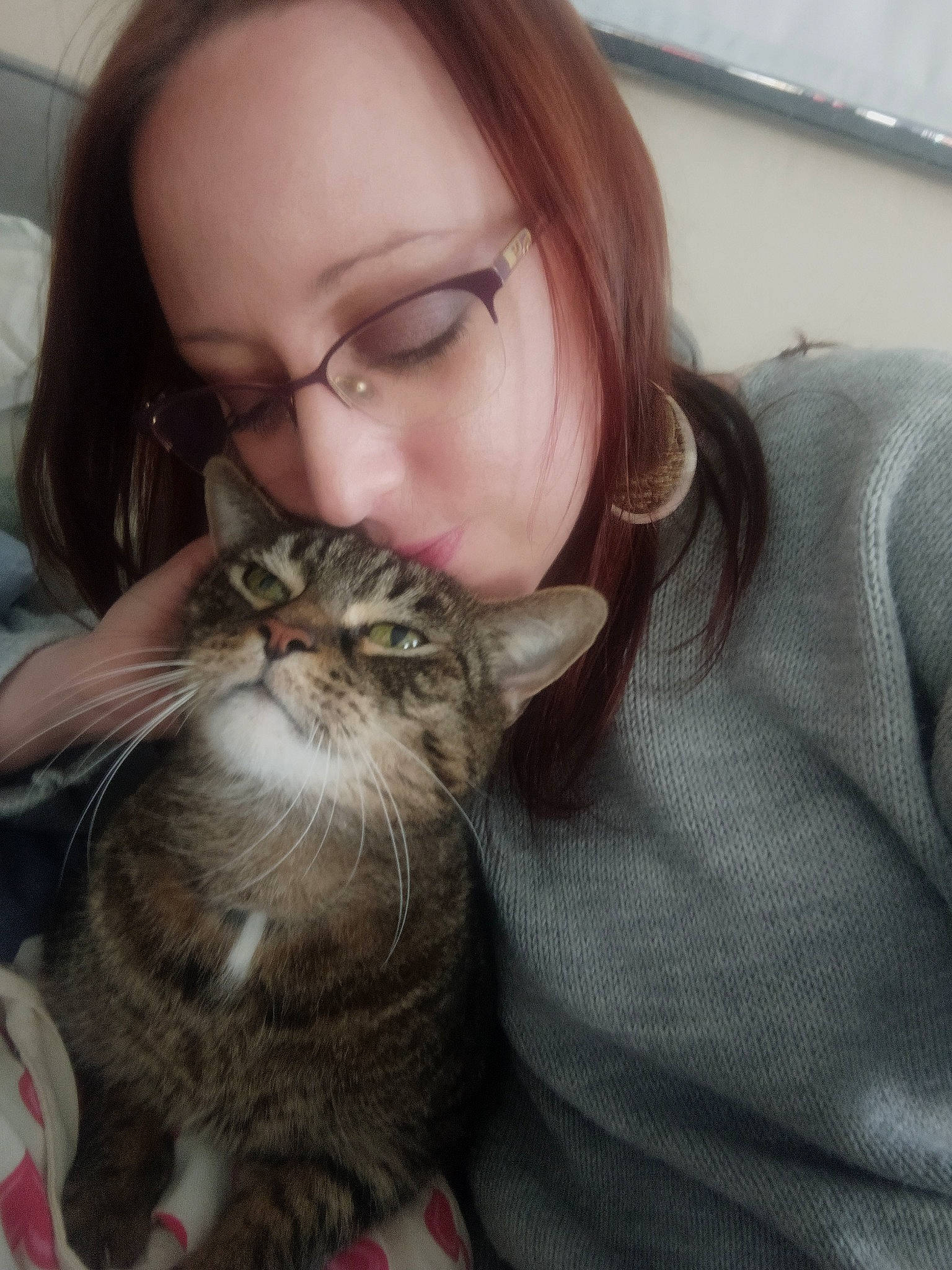 Scampi a rejoint le concours — aidez-le/la à gagner de superbes lots ! brown_hair, carnivore, cat, claw, comfort, domestic_short_haired_cat, ear, eyewear, fawn, felidae, fur, gesture, happy, nail, paw, sitting, small_to_medium_sized_cats, tail, vision_care, whiskers