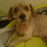 Diego participe au concours pour gagner de l'argent avec cette photo :