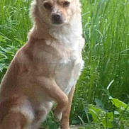 Caramel participe au concours pour gagner de l'argent avec cette photo :