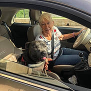 Michele Pelletier participe au concours pour gagner de l'argent avec cette photo : car, casual_clothing, daytime, dog, driver, happiness, human, joy, leisure, older_adult, pet, roadside, seat, seatbelt, smile, sunlight, tongue_out, vehicle_interior, window, woman