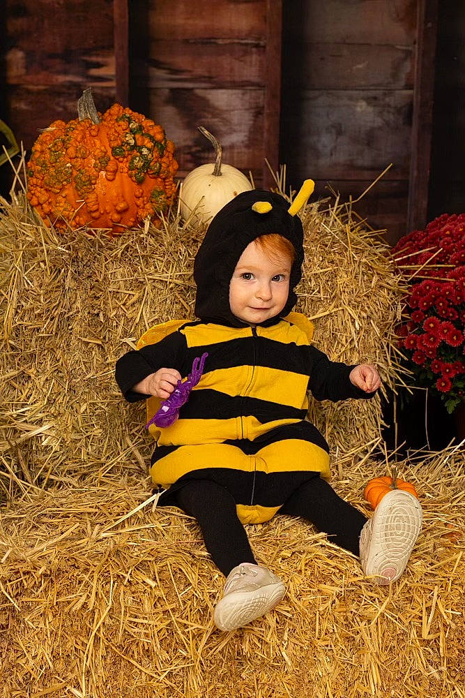 Ellenor is registered to the contest to win money with this photo: agriculture, autumn, baby_toddler_clothing, calabaza, child, fun, grass, happy, hat, hay, headwear, people_in_nature, person, plant, pumpkin, straw, tints_and_shades, toddler, tradition, vegetable