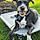Mylo