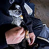 Booty joined the competition — help win amazing prizes! dog, pet, hand, person, black_clothing, indoor, spotted_dog, relaxing, comfort, holding, caring, fur, collar, paws, sitting, casual, fabric, bottle, floor, indoor_lighting