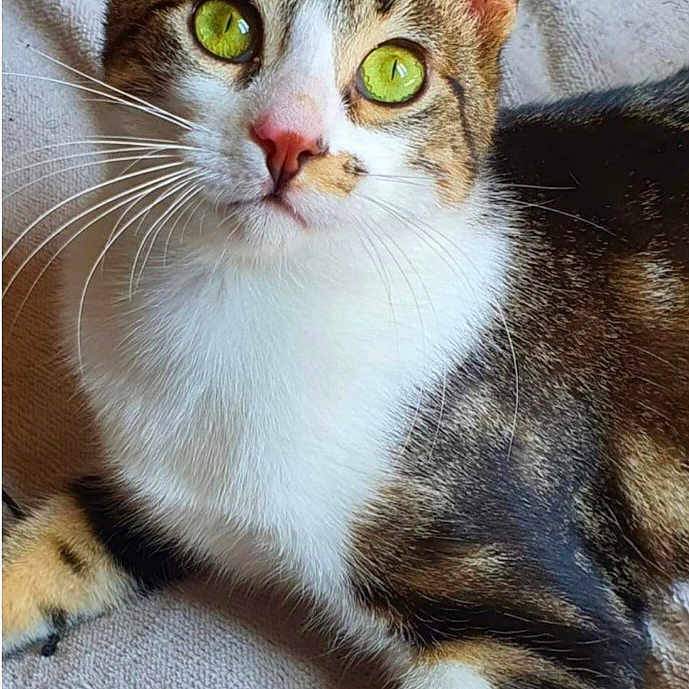 Kiara