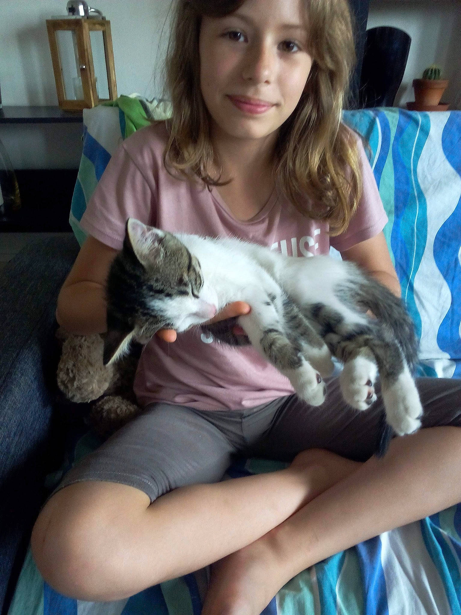 Samy a rejoint le concours — aidez-le/la à gagner de superbes lots ! carnivore, cat, comfort, companion_dog, domestic_short_haired_cat, fawn, felidae, fur, human_leg, lap, sitting, small_to_medium_sized_cats, smile, thigh, vertebrate, whiskers