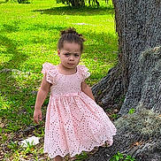 Brielle is registered to the contest to win money with this photo: toddler, child, girl, pink_dress, tree, grass, outdoor, nature, footwear, serious_face, sunlight, greenery, plant, young_child, curly_hair, shoes, daylight, trunk, standing, leaves