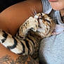 cat, kitten, bengal_cat, cat_face, person, human_face, tattoo, tattooed_arm, arm, pillow, couch, cuddling, pet, whiskers, stripes, closeup, indoor, shirt, lips, relaxing