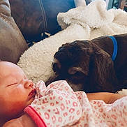 Aleah is registered to the contest to win money with this photo: baby, bedtime, birth, canidae, carnivore, child, cockapoo, comfort, companion_dog, dog, dog_breed, finger, nap, puppy, puppy_love, schnoodle, sleep, sporting_group