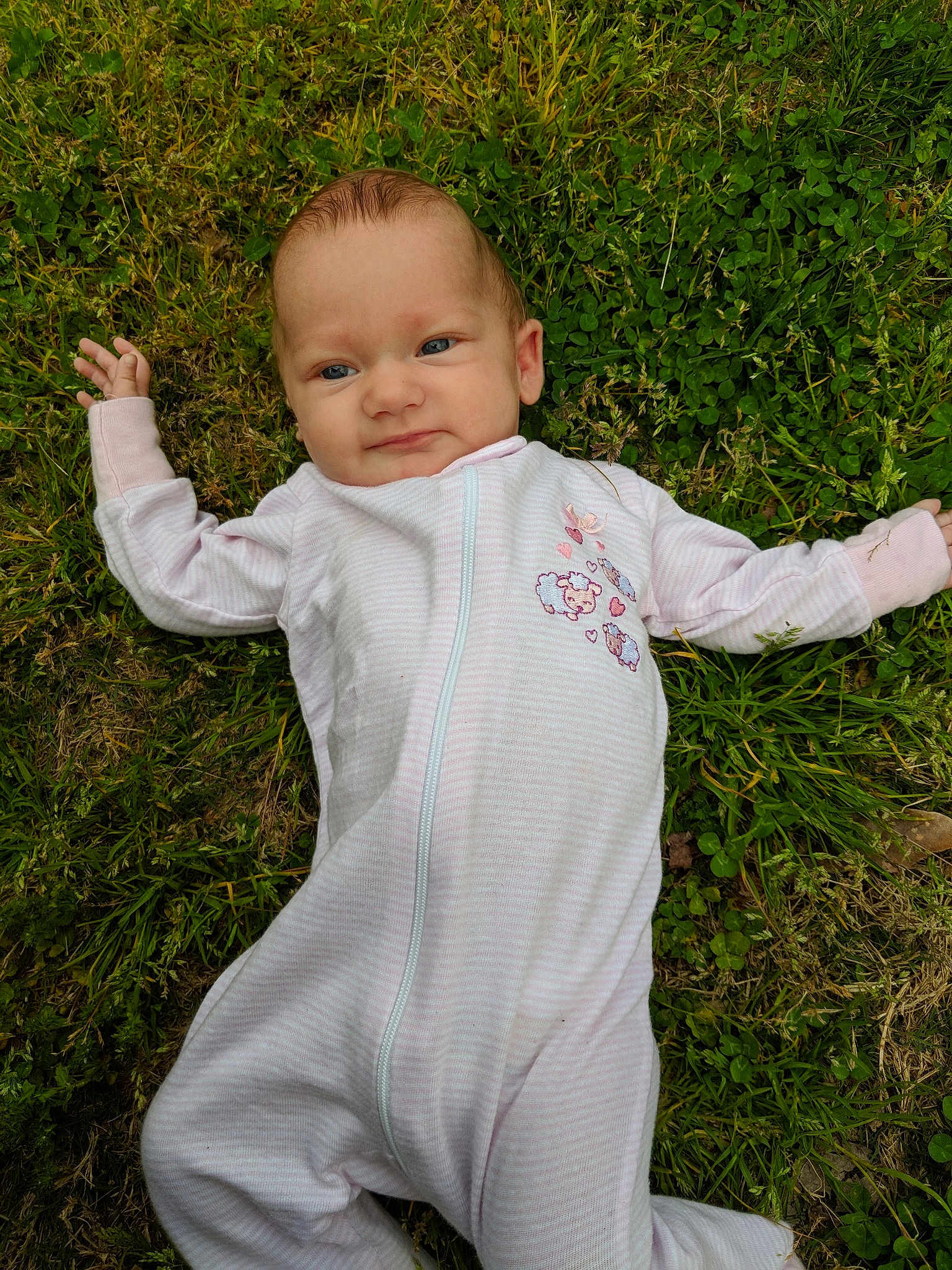 Aleah
