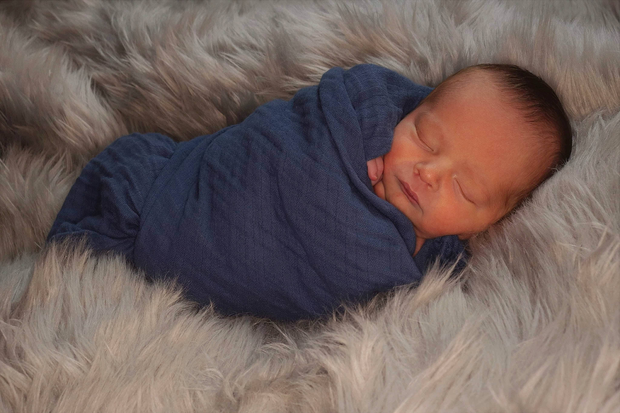 Brenton is registered to the contest to win money with this photo: baby, child, ear, fur, nap, nose, person, sleep, textile