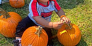 Kyyeer is registered to the contest to win money with this photo: casual_clothing, child, curly_hair, daylight, fall, festival, fun, grass, harvest, nature, orange, outdoor, person, playing, puma_shirt, pumpkin, sitting, sneakers, toddler, young_child