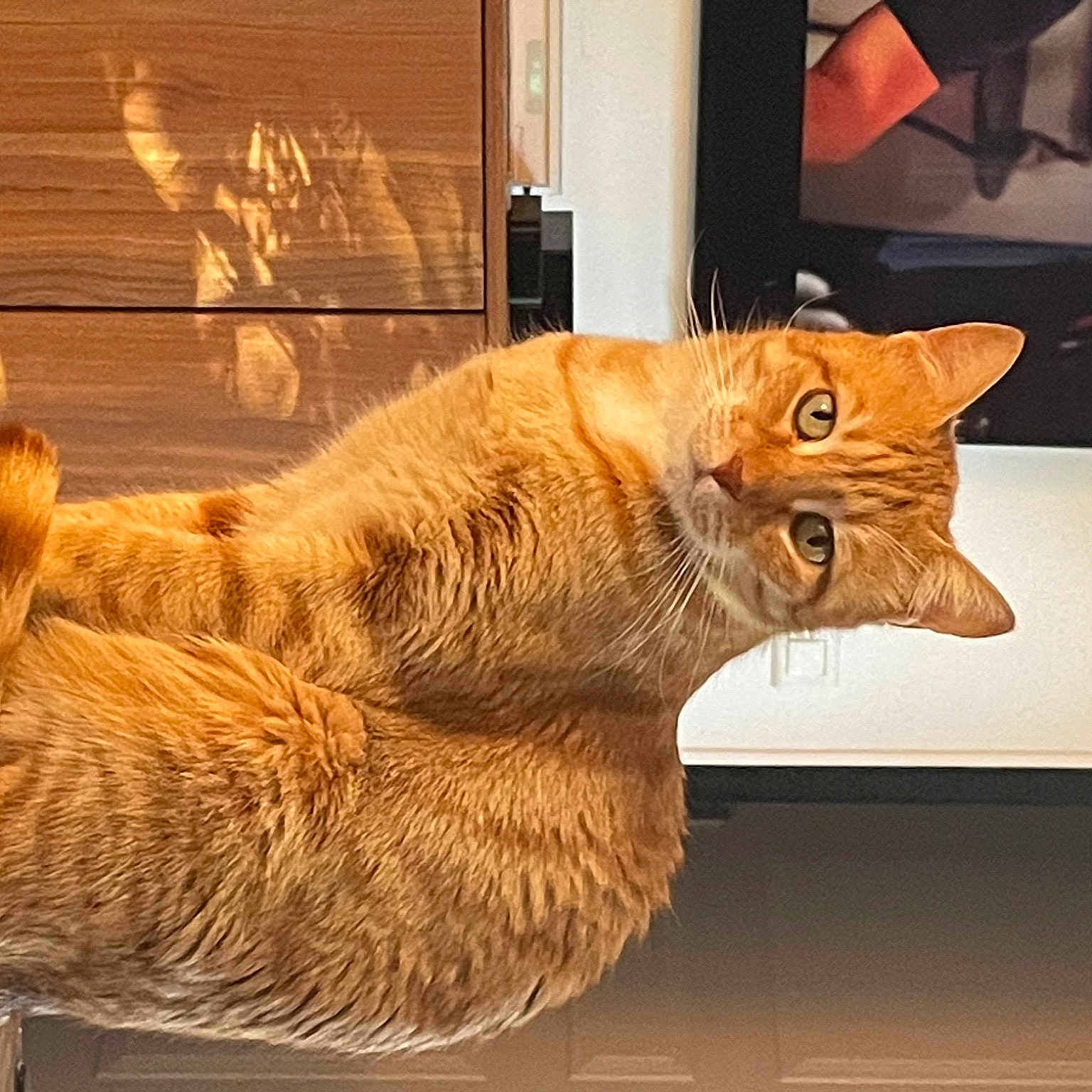 Tam-tam