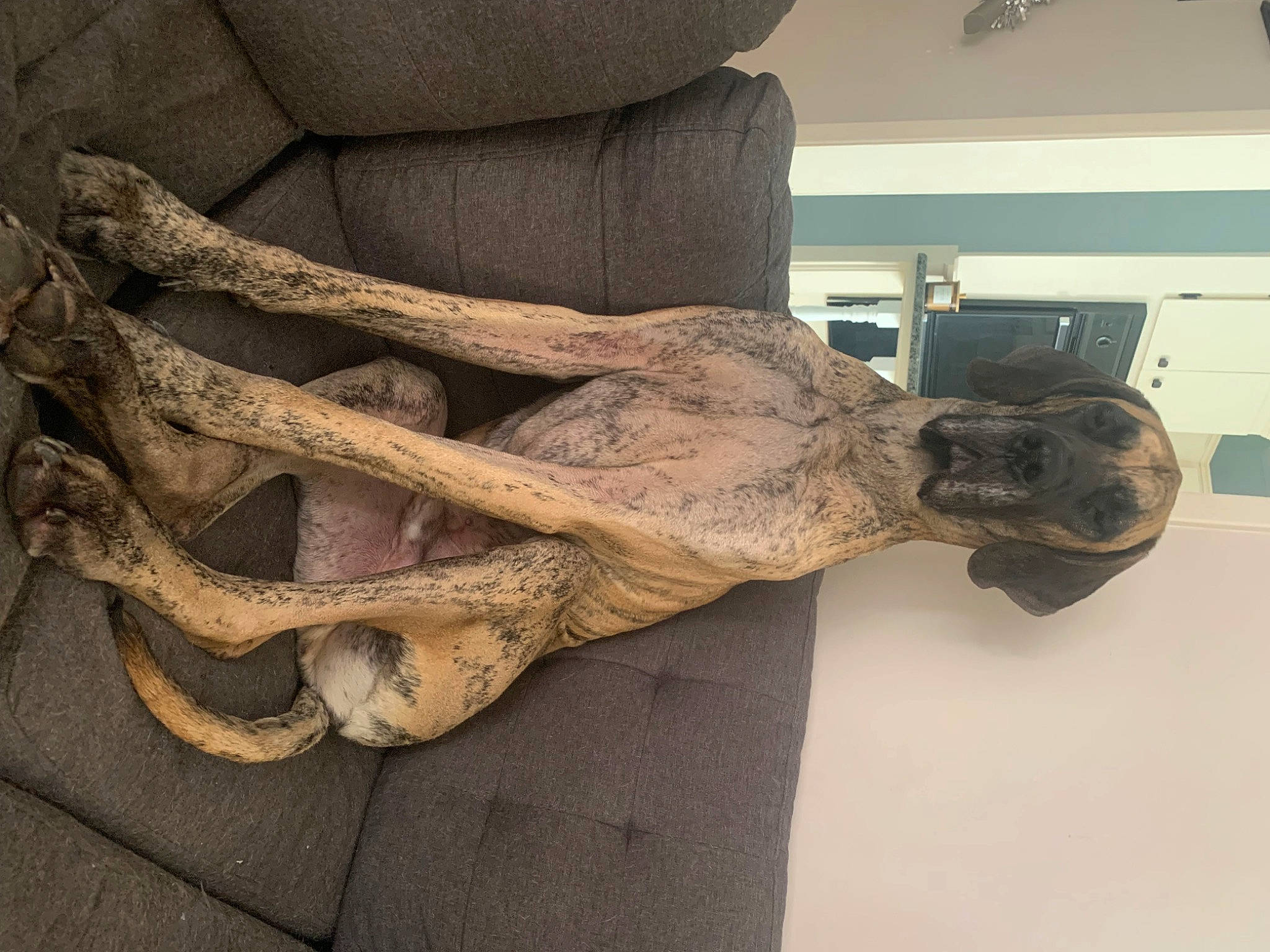 Leeroy Jenkins is registered to the contest to win money with this photo: art, artifact, carving, creative_arts, elbow, foot, gesture, human_leg, metal, monument, natural_material, sculpture, statue, tree, trunk, vertebrate, visual_arts, window, wood, wrist