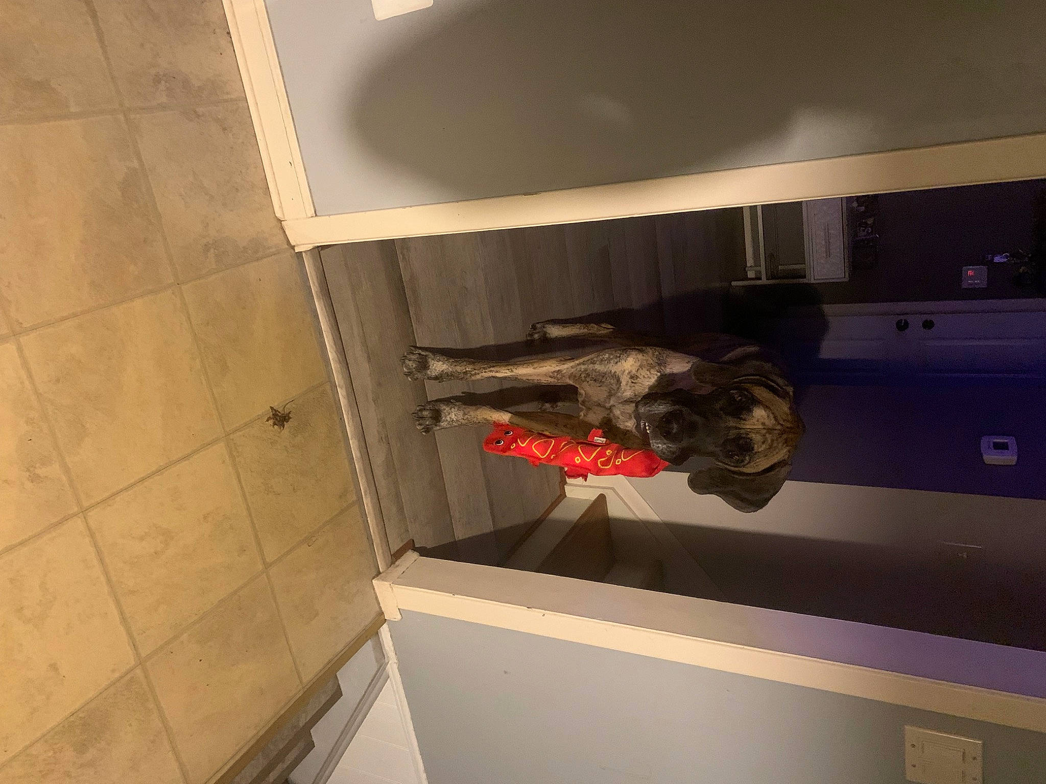 Leeroy Jenkins joined the competition — help win amazing prizes! ceiling, floor, flooring, gas, hardwood, room, tail, tile, wood